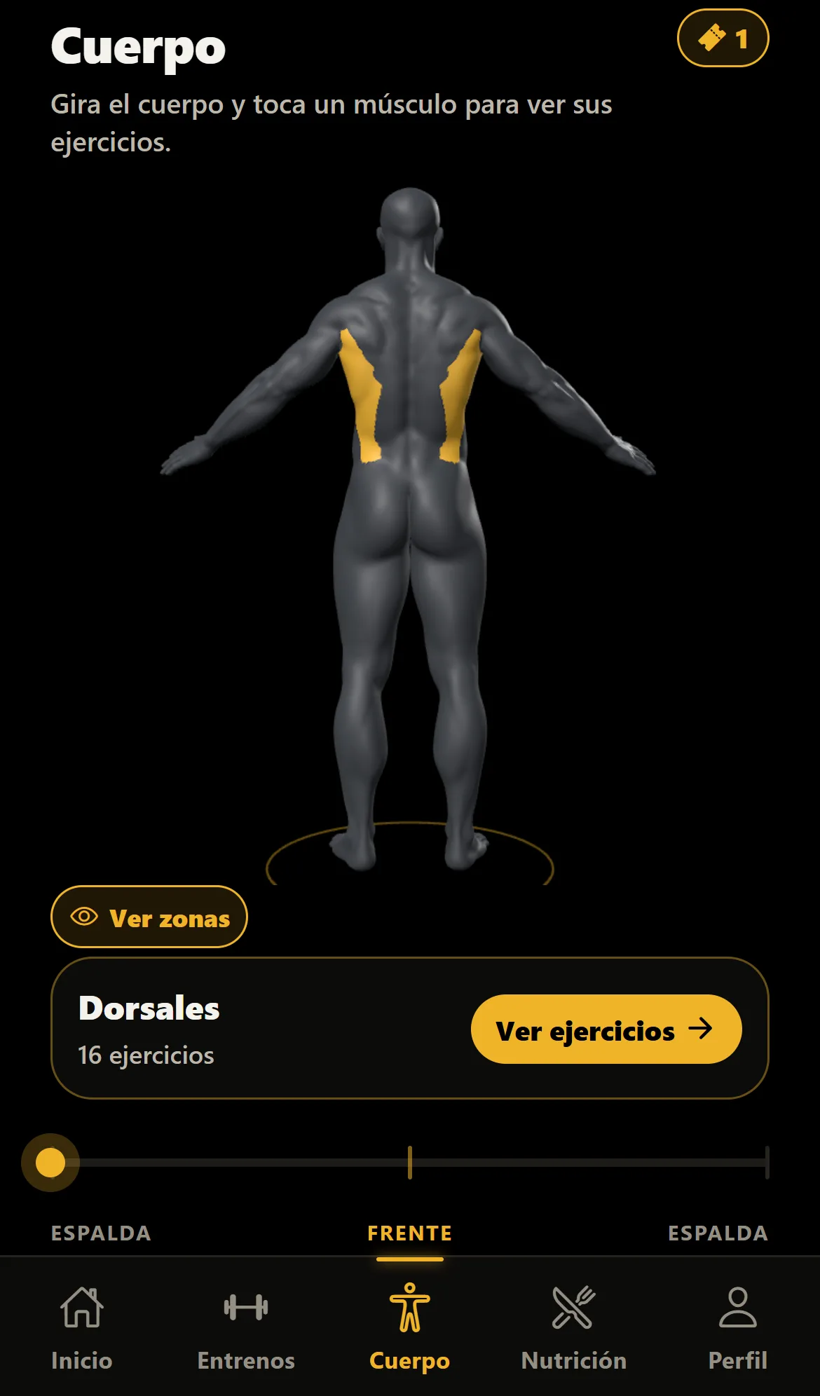 Cuerpo 3D de espaldas, con los dorsales marcados en dorado.