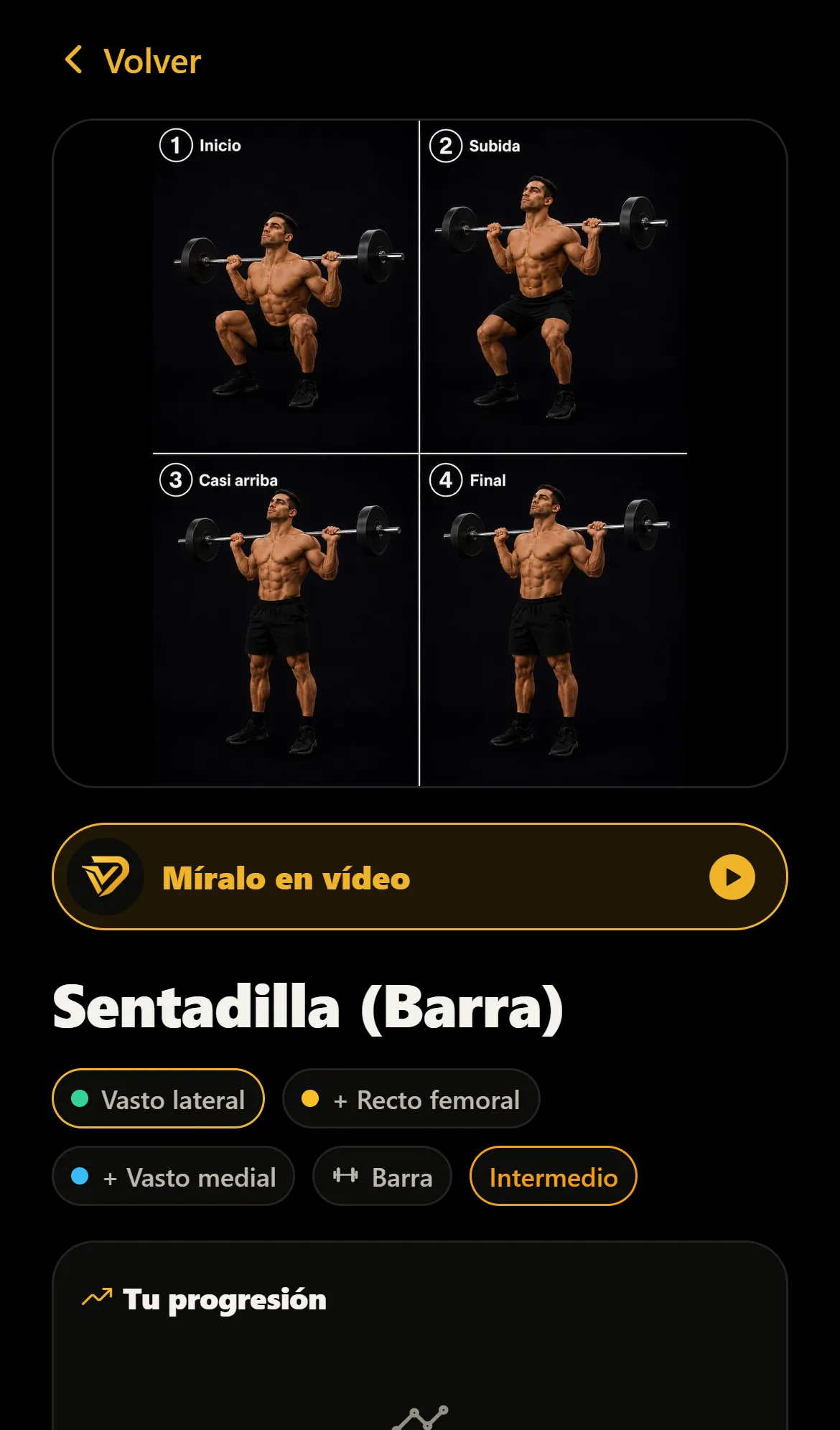 Ficha del ejercicio Sentadilla (Barra): cuatro fotos paso a paso, los músculos que trabaja y tu progresión.